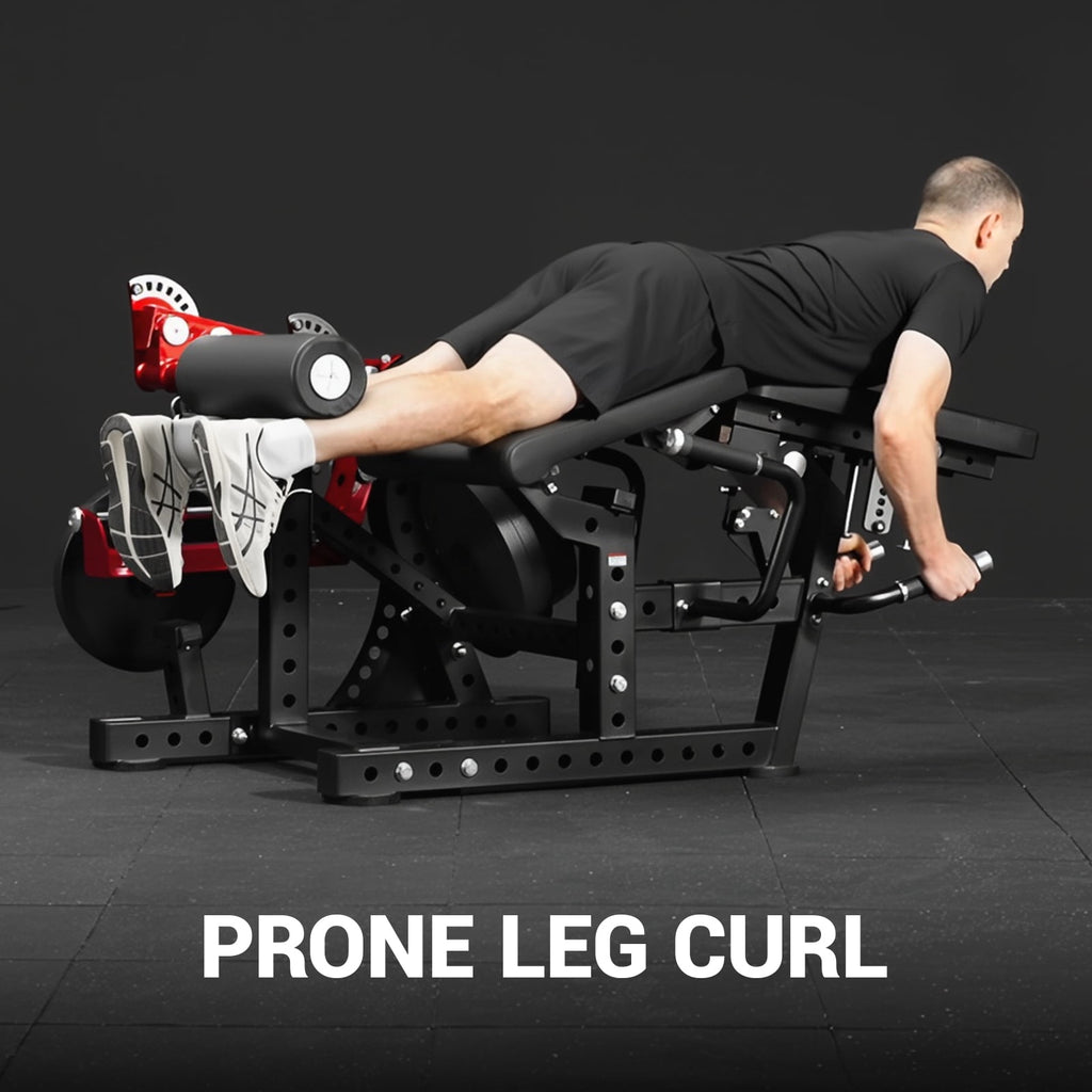 GMWD Leg Extension and Curl Machine LE08 2.0, Adjustable Leg Curl Machine with Plate Loaded, Seated Leg Extension and Lying Curl Machine for Home Gym, Leg Workout Equipment